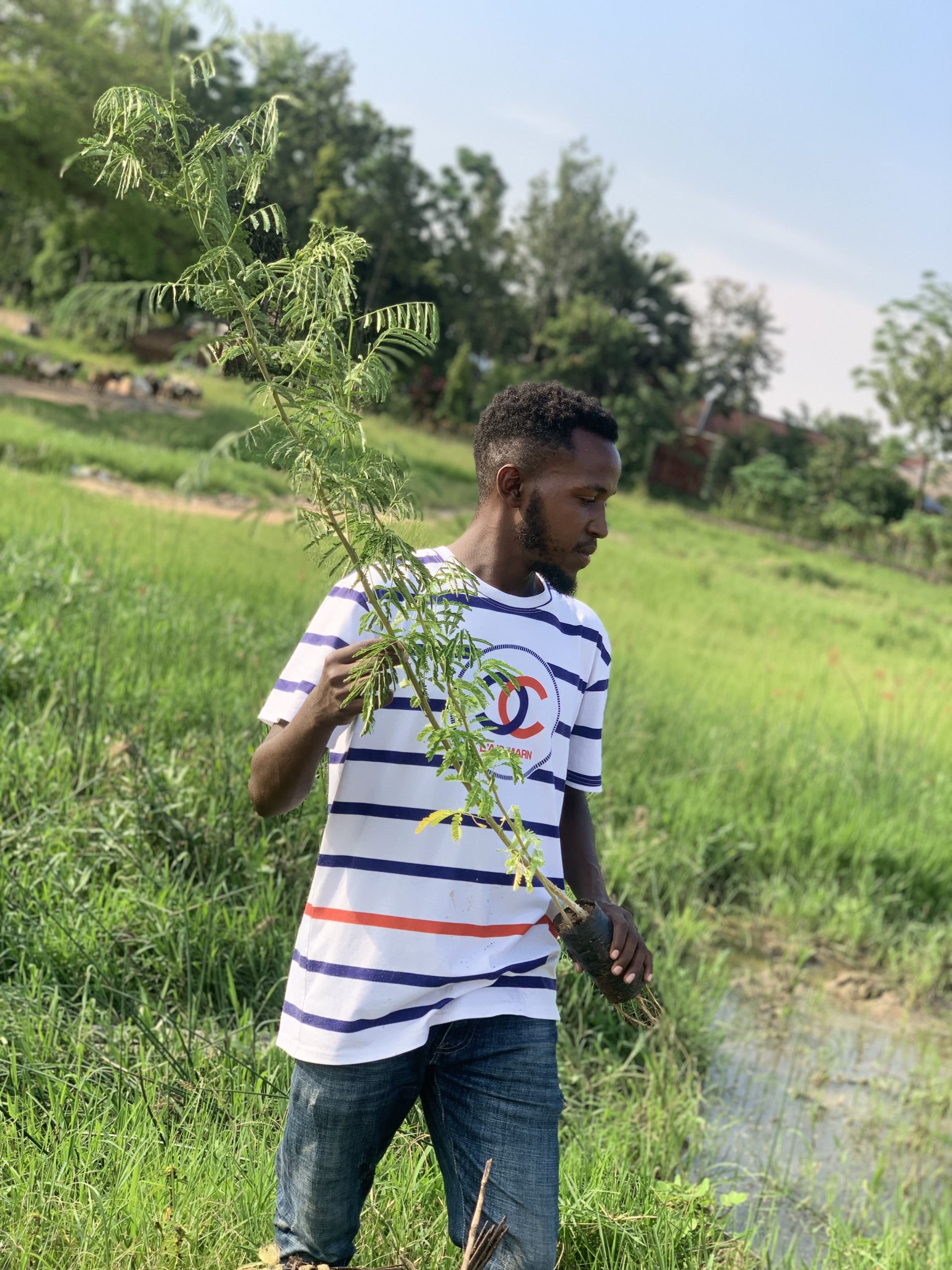 Social entrepreneurship: learning from plants and paving greener ways